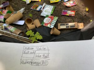 IMG_0164_Web_Pflanzplan