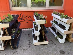 IMG_0211_Web_fertigeElementeLaborschule