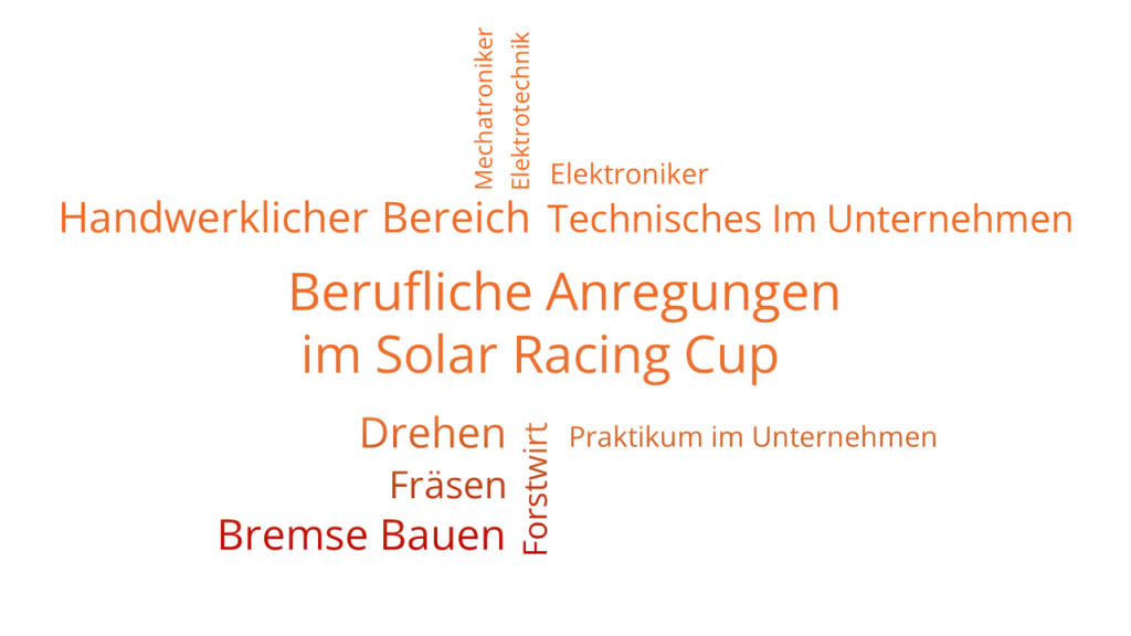 Wordclouds_InterviewAuswertung_BeruflicheAnregungenSRC2024